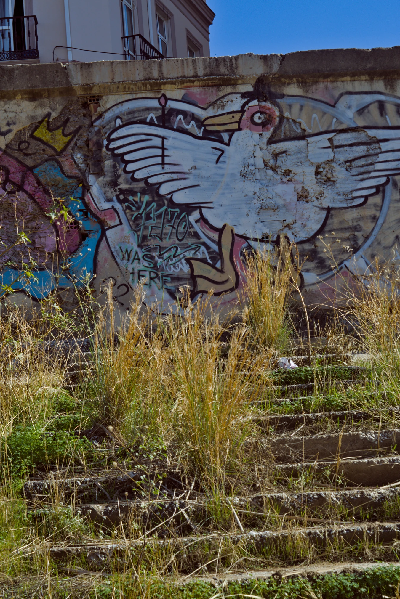 Industar-50-2 50mm f3.5 (M42) - _I4A2394.webp